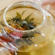 仙人掌茶的功效与作用