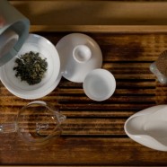 上饶白眉属于什么茶