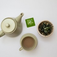 宝洪茶属于什么茶