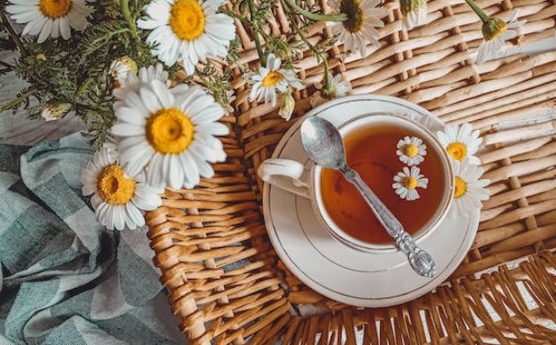 白兰花茶的功效与作用.jpg 白兰花茶的功效与作用.jpg