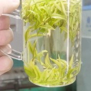 安吉白片