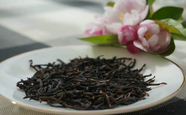 凤凰单丛茶
