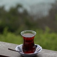 庐山云雾茶的功效