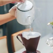 黄山毛峰是什么茶