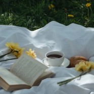 绿春玛玉茶分布在哪