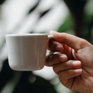建德苞茶价格