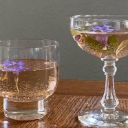 永川秀芽是什么茶
