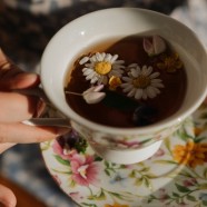 麻姑茶多钱一斤