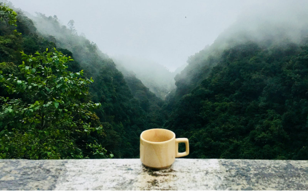八角亭龙须茶特点