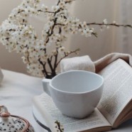白牡丹茶的功效与作用