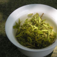 莫干黄芽