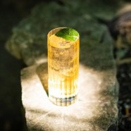 石笕茶是石笕乡的吗