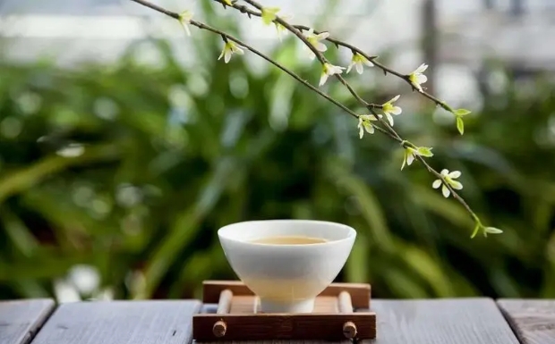 六安瓜片3.jpg