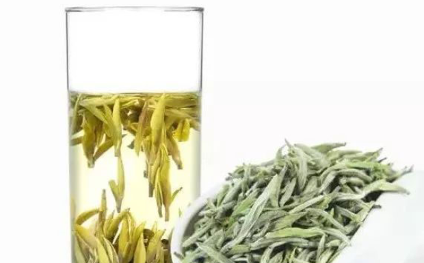 君山银针属于什么茶.png