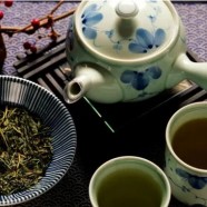 鸠坑毛尖茶