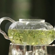 绿春县玛玉茶