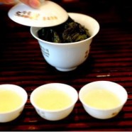 恩施玉露属于什么茶
