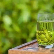 桂东玲珑茶历史简介