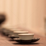 二祖禅茶是绿茶还是红茶