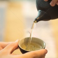 老竹大方茶价格
