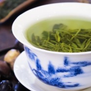 千岛玉叶是什么茶