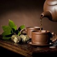 上饶白眉茶