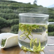涌溪火青价格多少一斤