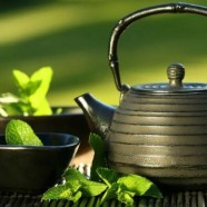 喝竹叶青茶有什么好处