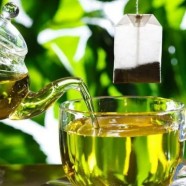 仰天雪绿茶是什么茶