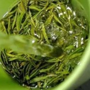 水仙茸勾茶的制作工艺