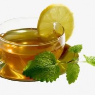 平水珠茶价格