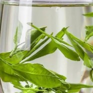 庐山云雾茶怎么样