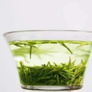 老竹大方茶的品质特征