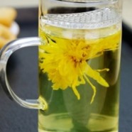 绿春玛玉茶的历史发展