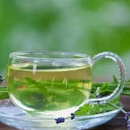 径山茶是好茶吗