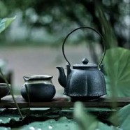 顾渚紫笋茶有什么明显特点