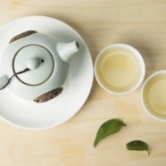 滇池银毫什么茶