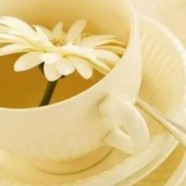 喝涌溪火青茶有什么好处