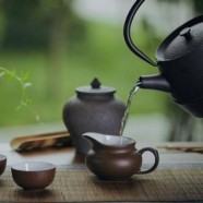 午子仙毫香味