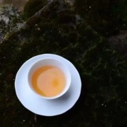 双桥毛尖特级