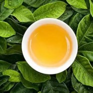 千岛玉叶是哪里的茶