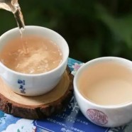 天山绿茶产于哪里