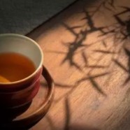 庐山云雾茶是什么茶