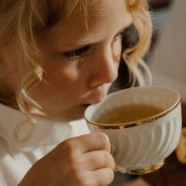 绿春玛玉茶树龄最低一般多少