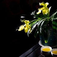 古丈毛尖绿茶的特点