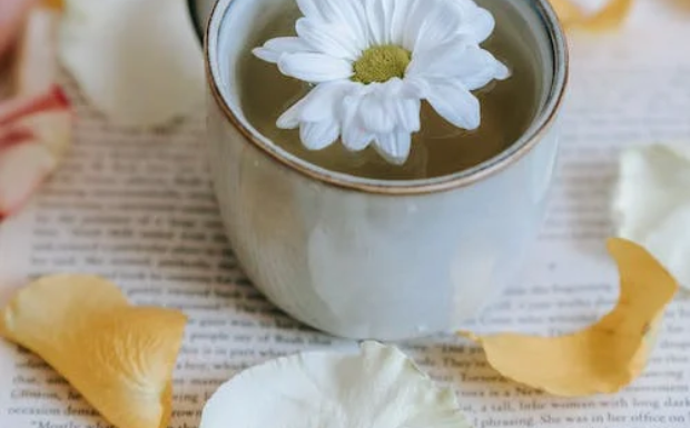 白牡丹属于什么茶.png 白牡丹属于什么茶.png