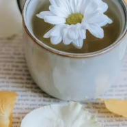 白牡丹属于什么茶