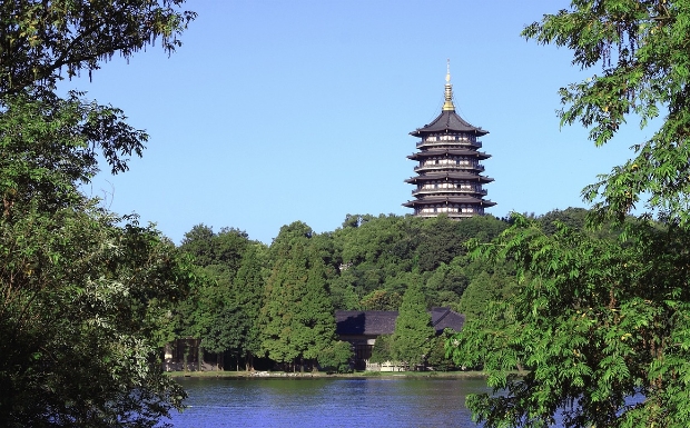 西湖龙井6.jpg
