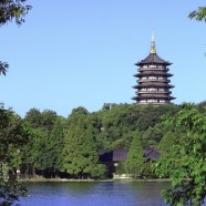 越州龙井和西湖龙井哪个好