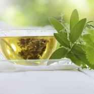 喝信阳毛尖茶对身体有什么好处